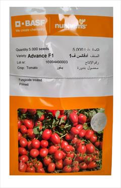 industry agriculture agriculture بذر گوجه فرنگی ادونس نانهمز