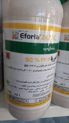 industry agriculture agriculture سم حشره کش افوریا سینجنتا ( سم Eforia )