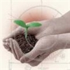 services industrial-services industrial-services  ژل مخصوص گیاهان آپارتمانی 