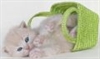 buy-sell personal health-beauty بزرگترین کلینیک و petshop تخصصی حیوانات