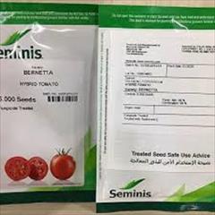 industry agriculture agriculture فروش بذر گوجه فرنگی برنتا 