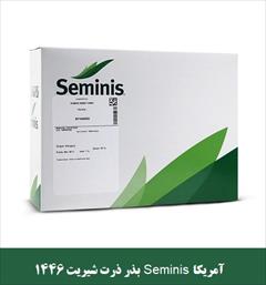 industry agriculture agriculture بذر ذرت شیریت 1446 Seminis آمریکا - فروش