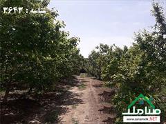 real-estate land-for-sale land-for-sale فروش فوری باغ در بکه شهریار