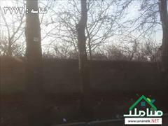 real-estate land-for-sale land-for-sale فروش باغچه چهاردیوار با درختان قدیمی 
