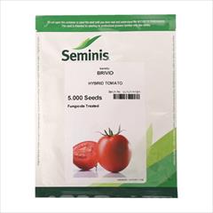 industry agriculture agriculture فروش بذر گوجه فرنگی بریویو سیمینس