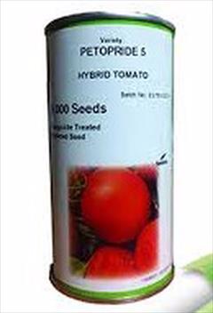 industry agriculture agriculture فروش بذر گوجه پتو پراید5 