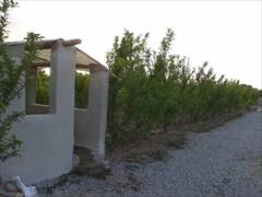 real-estate land-for-sale land-for-sale فروش فوری باغ زیبای میوه بین رباط کریم و شهریار