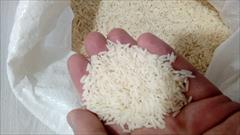 buy-sell food-drink other-food-drink برنج هاشمی درجه یک گیلان