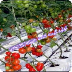 industry agriculture agriculture تولید نایلون گروبگ کشاورزی09122874658