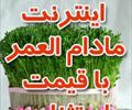 services internet internet اشتراک اینترنت نامحدود و مادام العمر 