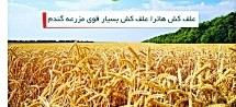 industry agriculture agriculture علف کش سس اوت ( محصول کشور آلمان  )