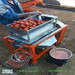 industry food food دستگاه آبگیر گوجه
