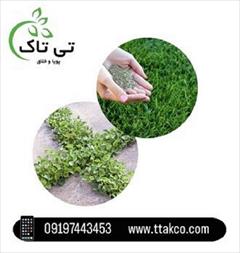 industry agriculture agriculture فروش ویژه شبدر دایکوندرا 09197443453