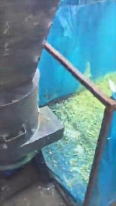 industry industrial-machinery industrial-machinery دستگاه اسیاب هسته خرما و ...