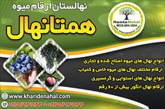 industry agriculture agriculture فروش انواع نهال میوه اصلاح شده