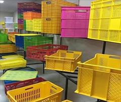 industry packaging-printing-advertising packaging-printing-advertising  فروش جعبه پلاستیکی و سبد پلاستیکی مرغی 