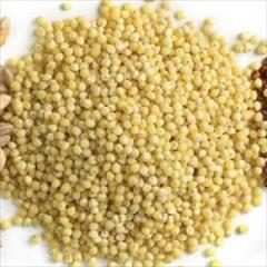 industry agriculture agriculture عرضه کننده انواع ارزن