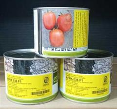 industry agriculture agriculture فروش بذر گوجه فرنگی افرا