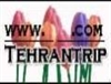 services internet internet tehrantrip com اطلاعات مسافرتی ایران 