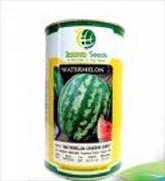 industry agriculture agriculture فروش بذر هندوانه هیبرید استارپلاس