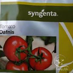 industry agriculture agriculture پخش و فروش بذر گوجه فرنگی گلخانه ای دافینس سینجنتا