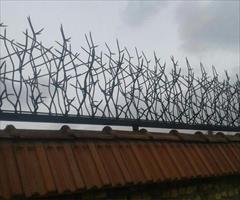 services construction construction  حفاظ شاخ گوزنی مدرن و ایمن برای ساختمان‌های شما 