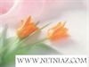 services internet internet آگهی رایگان تبلیغ رایگان مجانی نیازمندیها آگهی