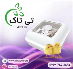 industry livestock-fish-poultry livestock-fish-poultry دستگاه جوجه کشی تمام اتوماتیک 09199762163