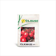 industry agriculture agriculture بذر گوجه فرنگی CLX 38122 