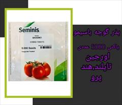 industry agriculture agriculture فروش بذر گوجه باسیمو f1 سمینیس _ ارسال به کل کشور