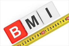 industry tools-hardware tools-hardware متر شاقول دار BMI آلمان