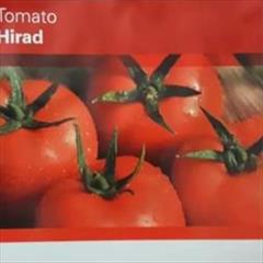 industry agriculture agriculture بذر گوجه فرنگی گلخانه ای هیراد 