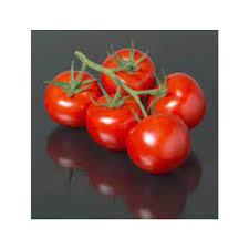 industry agriculture agriculture فروش بذر گوجه ازمیر