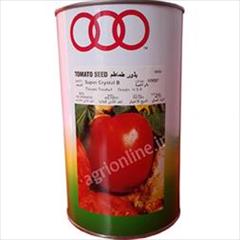 industry agriculture agriculture فروش بذر گوجه فرنگی سوپرکریستال