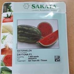 industry agriculture agriculture فروش عمده و خرده بذر هندوانه ساکاتا روبی