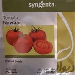 industry agriculture agriculture فروش بذر گوجه گلخانه ای نیوتون 