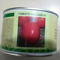 industry agriculture agriculture فروش بذر گوجه فرنگی گلسار