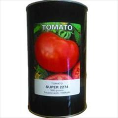 industry agriculture agriculture توزیع عمده و خرده بذر گوجه سوپر 2274 