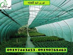 industry agriculture agriculture توری گلخانه ، توری شید ، شید گلخانه - 09190768462