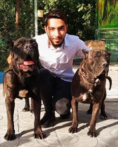 buy-sell entertainment-sports pets  فروش فوق العاده کن کورسو 