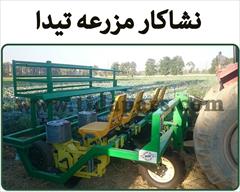 industry agriculture agriculture فروش نشاکار مزرعه با گارانتی تخصصی