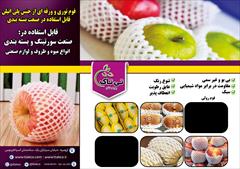 industry packaging-printing-advertising packaging-printing-advertising فوم بسته بندی انار،فوم انار09197443453