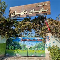 buy-sell entertainment-sports pets فروش توله سگ دوبرمن با اصالت و سلامت کامل