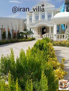 real-estate land-for-sale land-for-sale کد198 چمستان.450متر زمین