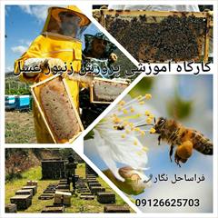 services educational educational دوره آموزشی زنبورداری