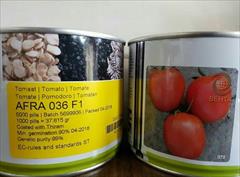 industry agriculture agriculture فروش بذر گوجه فرنگی افرا 