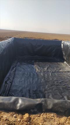 industry agriculture agriculture فروش ورق استخری درجه یک 