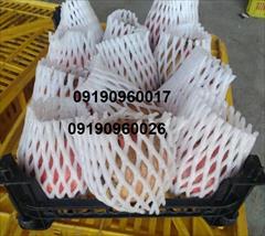 industry packaging-printing-advertising packaging-printing-advertising فوم توری میوه | فوم توری پلی اتیلن 