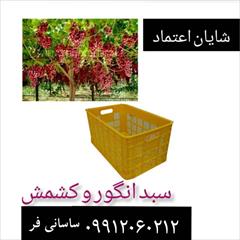 industry agriculture agriculture سبد 20 کیلوگرمی سردخانه-فروش سبد 20 کیلویی