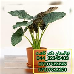 industry agriculture agriculture فروش گل بابا آدم